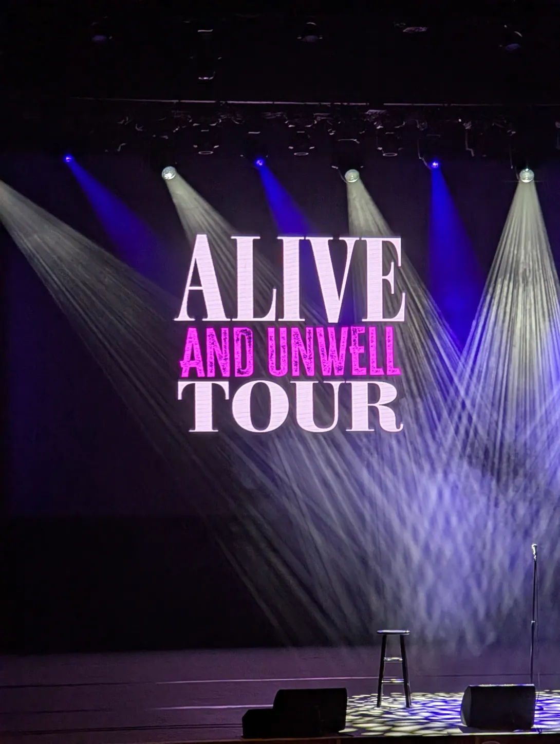 Nikki Glaser’s Reno Roast: Like Therapy in a Thong, and We Paid for It 